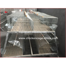 Galvanized rabbit cage manufacturer